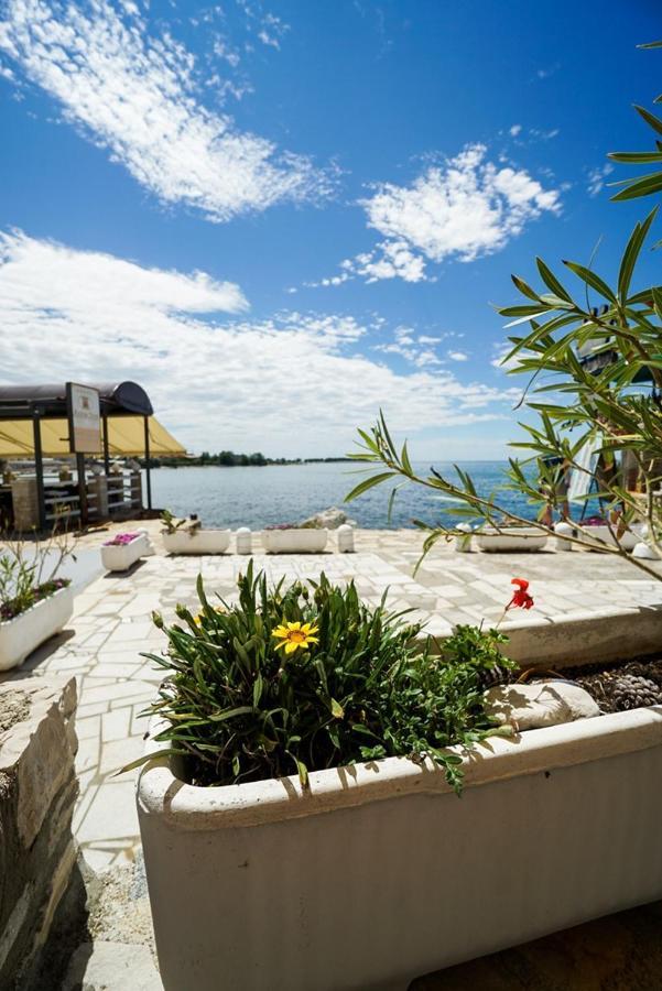 Sea View 1 Apartment